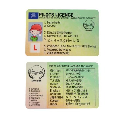 Santa's Little Helper Licence